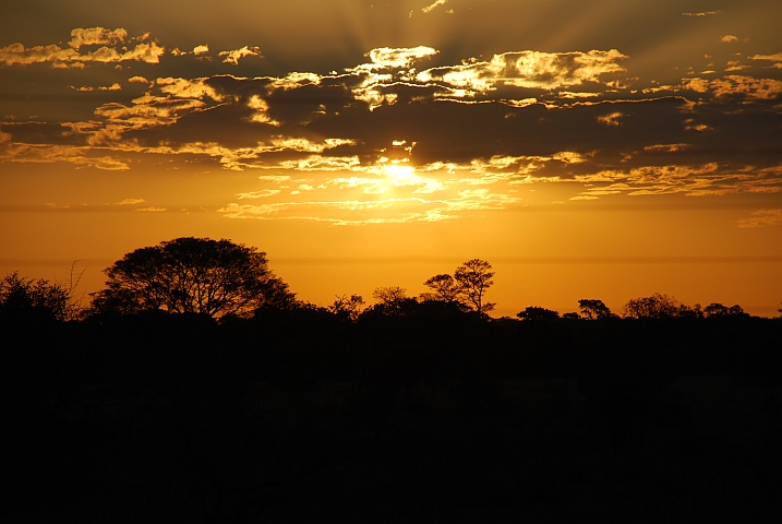 Abendstimmung bei Satara im Zentrum des Parks