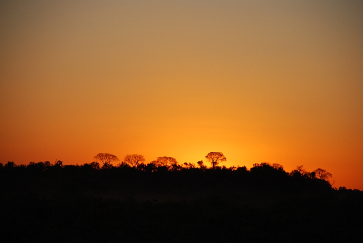 Abendstimmung bei Mopani