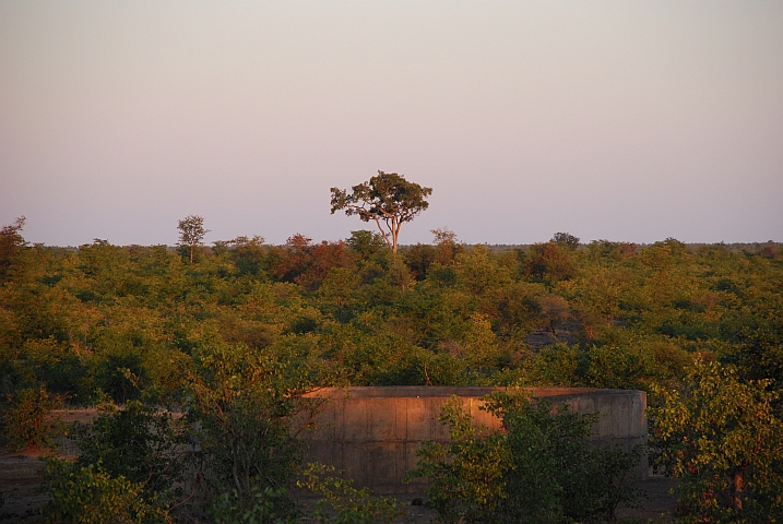 Abendstimmung beim João Wasserloch in der Nähe von Shingwedzi