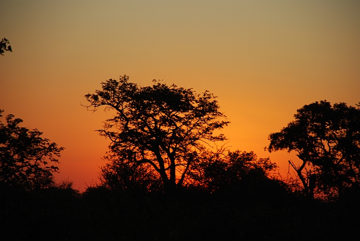 Abendstimmung bei Shingwedzi