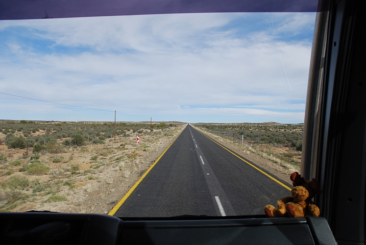 Unterwegs nach Calvinia: Der Elch ist wohl bereits eingeschlafen