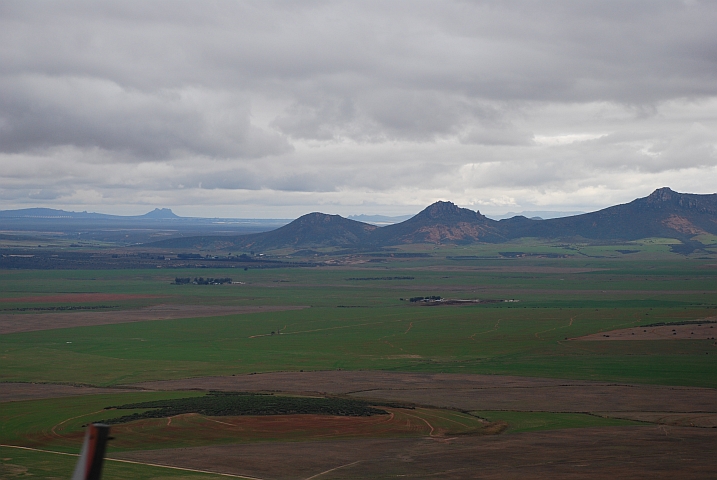 Die neue Saat spriesst bereits