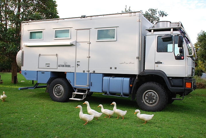 Obelix und der Antrittsbesuch der Enten