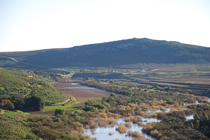 Überflutete Rebflächen bei Klawer