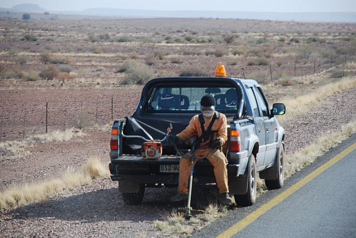 Strassenrandpflege nach südafrikanischer Art