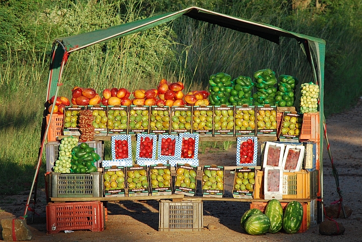 Früchteverkaufstand zwischen Brits und dem Hartbeespoort Dam