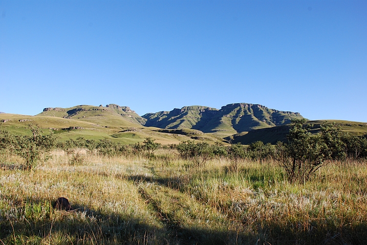 Im Cobham Nationalpark