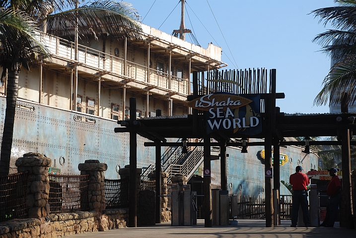 Das Geisterschiff des Aquariums