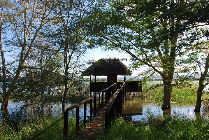 Beobachtungsplattform an der Nsumo Pan im Mkuze Nationalpark