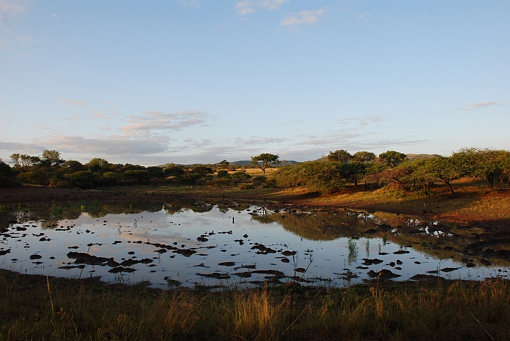 Schwach besuchtes Wasserloch im Mkuze Nationalpark