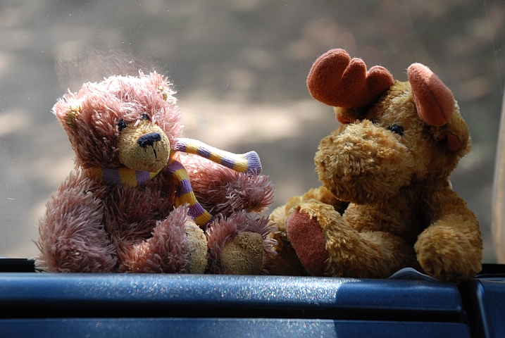 Sitzteddy und Elch wieder vereint