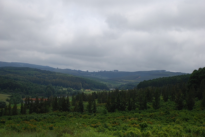 Zuerst sieht’s fast wie im Zürcher Oberland aus ...