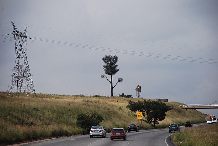Diese Natelantenne fällt dank der Tarnung als Baum praktisch gar nicht auf...