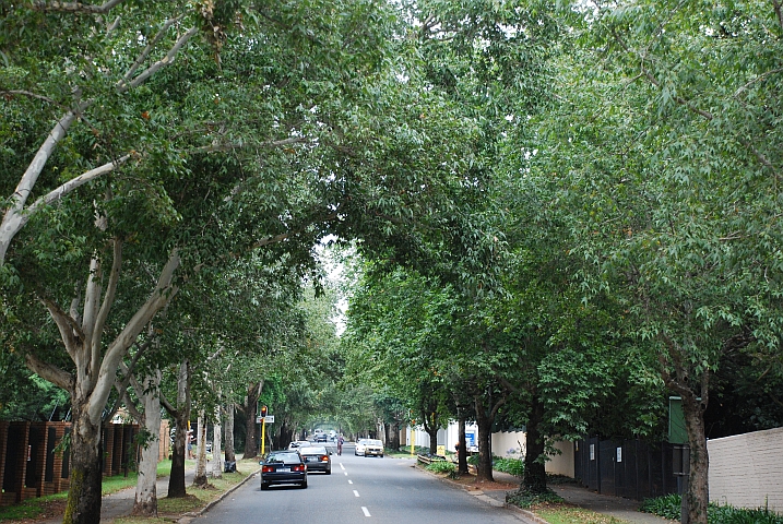 Auf dem Weg zu unserem Parkplatz im Melrose Quartier in der Nähe des Stadions