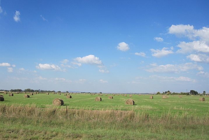 Rund um den Vaal Dam gibt es viel Landwirtschaftsland
