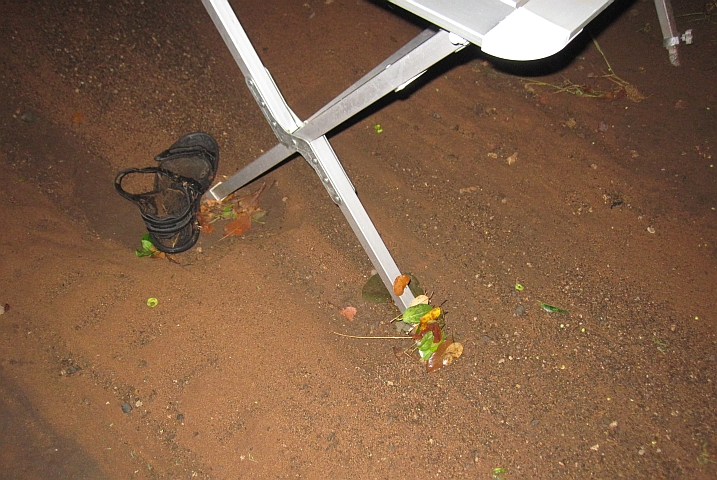 Sogar eine Sandale wurde ans Campingtischbein angeschwemmt