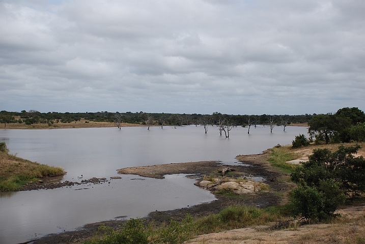 Lugmag Dam zwischen Skukuza und Satara im Krüger Nationalpark
