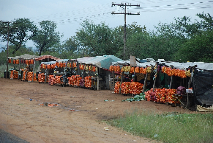Früchteverkaufsstände bei Groblersdal
