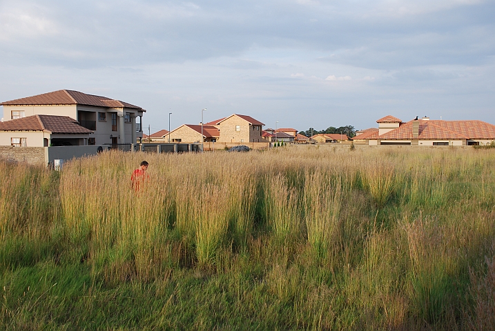 Thomas sucht im hohen Gras vergeblich nach einem jammernden Kätzchen
