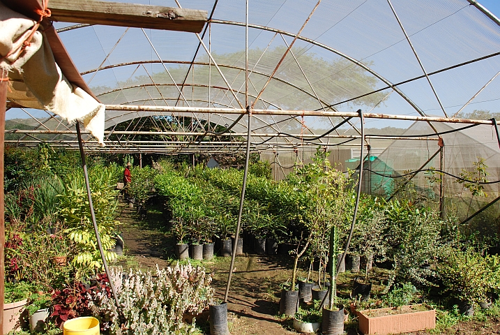 Die Gärtnerei der Farm, im Englischen treffend Nursery genannt