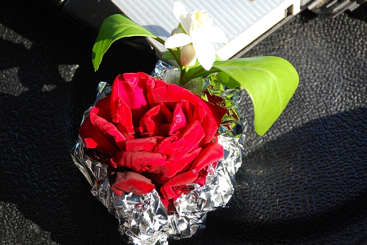 Rosen- und Orangenblüten duften fein