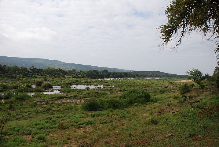 Am Letaba Fluss
