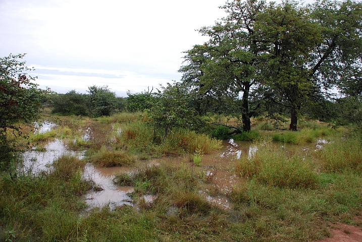 Überall steht das Wasser vom Regen von gestern abend