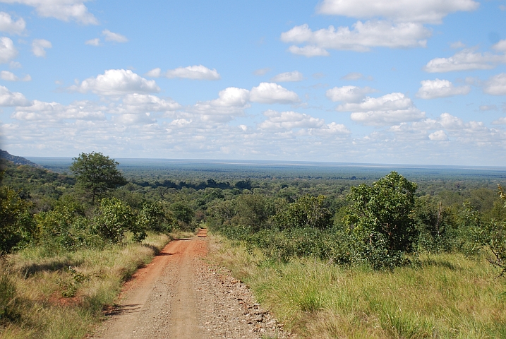 Ein letzter Blick über die Krügerpark-Savanne