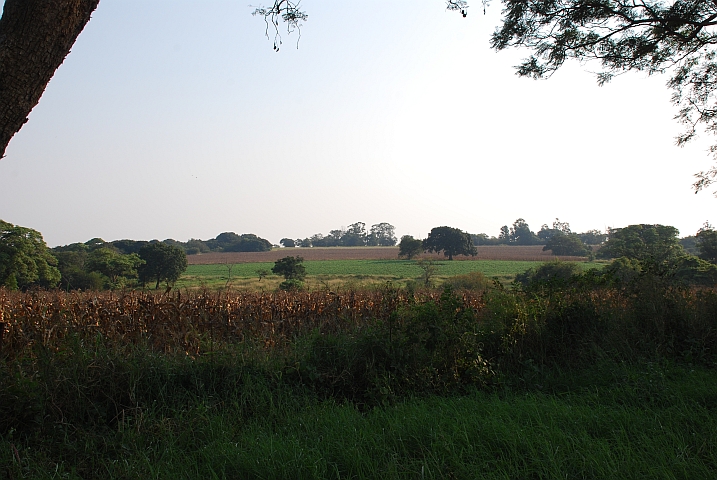 Eine Landschaft fast wie zwischen Kloten und Gerlisberg