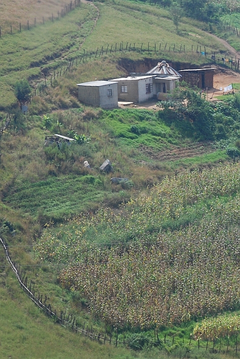 Selbstversorger-Gehöft im nördlichen Swasiland