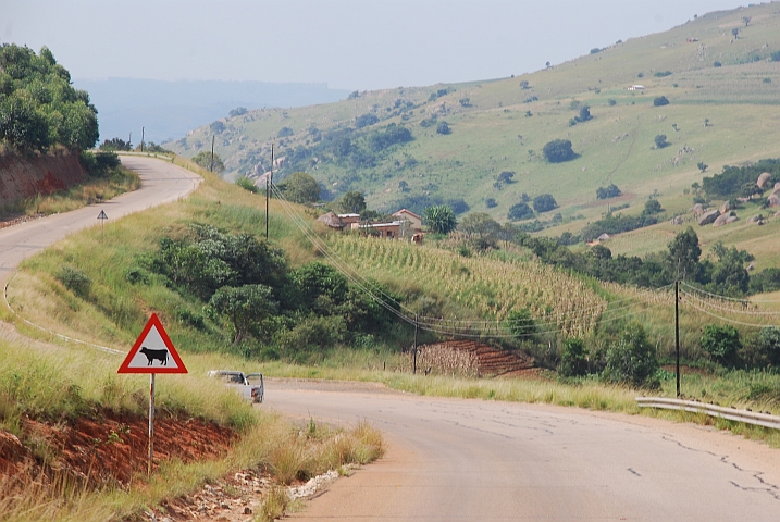 Hügellandschaft kurz vor dem Abstieg zum Maguga Staudamm