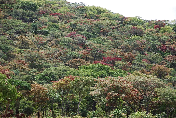 Bei Negola zwischen Huambo und Lubango