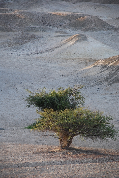 Bei São João do Sul