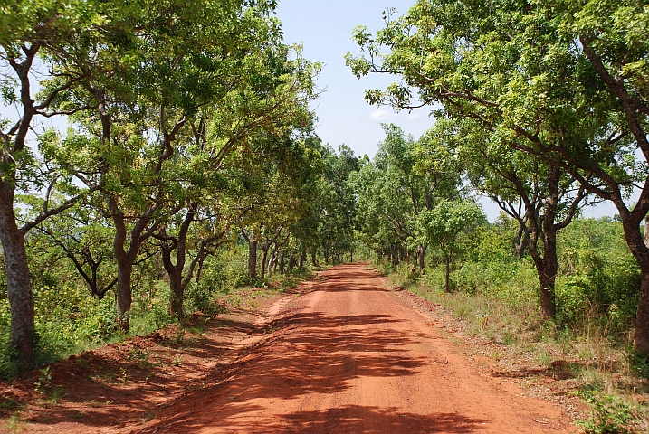 Piste zwischen Kankalaba und Sindou