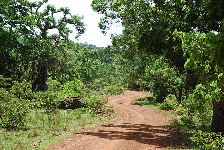 Piste zwischen Kankalaba und Sindou