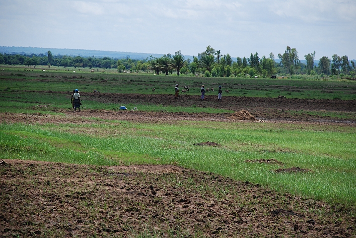 Bei Banfora wird auf den Feldern gearbeitet
