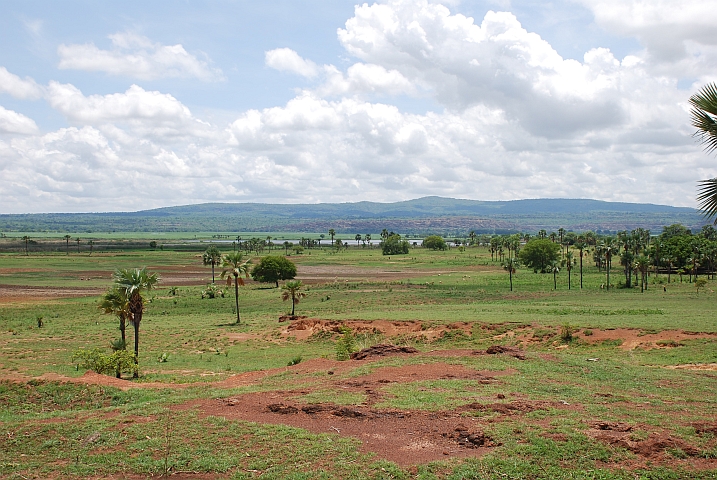 Fruchtbare Ebene zwischen Banfora und dem Karfiguela Wasserfall