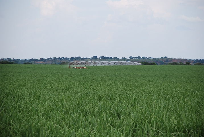 Topmoderne Zuckerrohr-Bewässerung bei Banfora