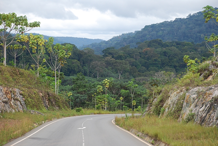 Neue Teerstrasse im Norden von Gabun bei Mitzic