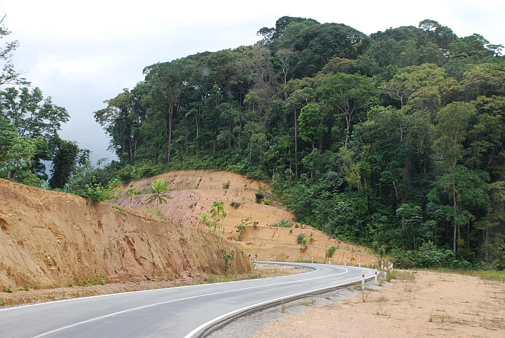Die neue Teerstrasse von der Grenze Kamerun/Gabun bis zum Äquator wurde grosszügig trassiert