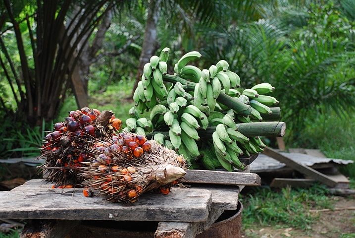 Palmölnüsse und Bananen zum Verkauf am Strassenrand