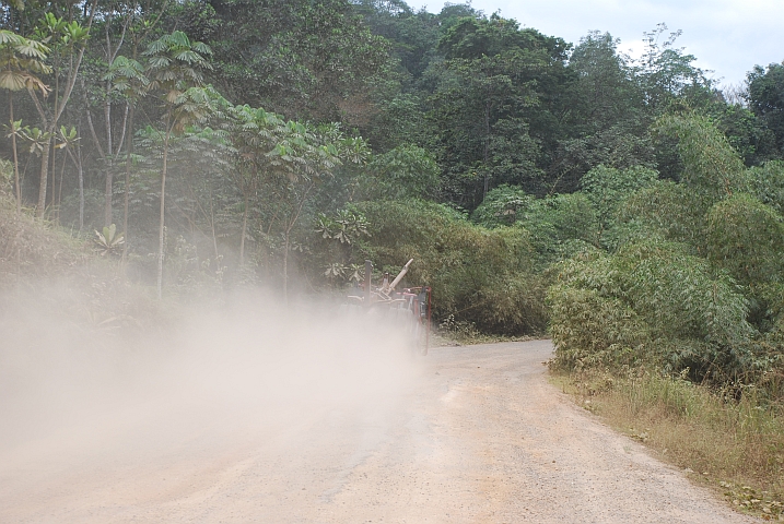 Ein leerer “Grumier“ heizt über die Piste zwischen Ndjolé und Alèmbé