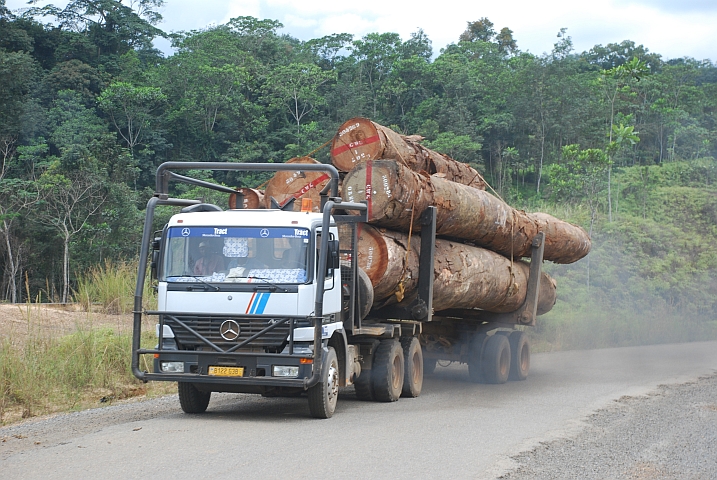 Beladener “Grumier“ zwischen Ndjolé und Alèmbé