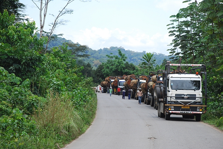So begegnen wir ihnen am Liebsten: “Grumier“-Konvoi am Strassenrand in der Nähe von Alèmbé