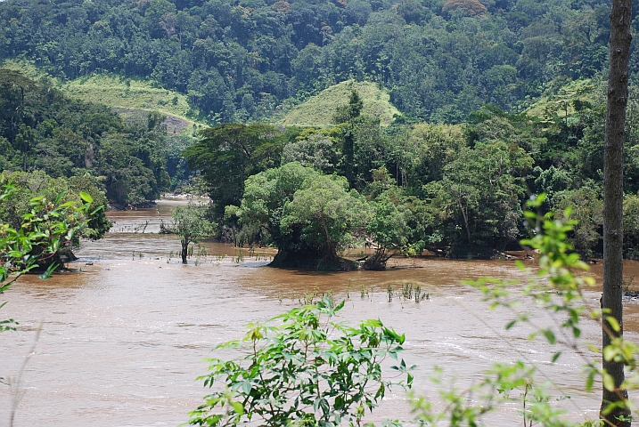 Ogooué-Fluss bei Alèmbé