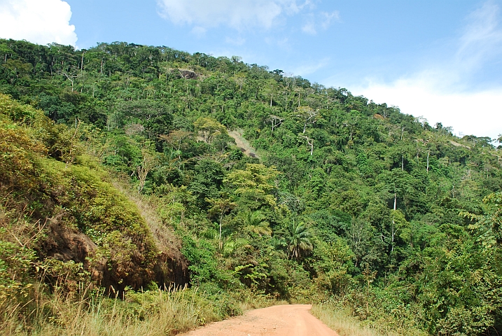 Zwischen Alèmbé und Lopé kurz vor Ayem