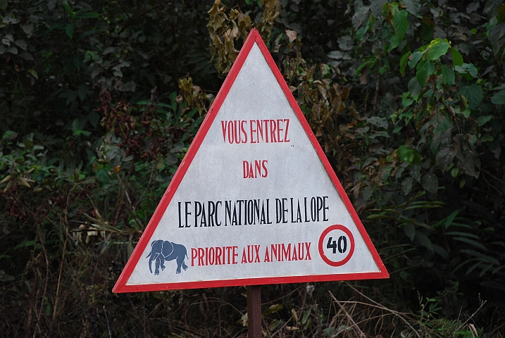 Sooo vielen Tieren mussten wir dann aber doch nicht den Vortritt lassen...