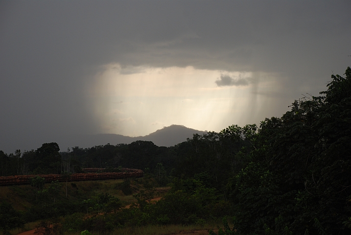 Die “Transgabonais“-Eisenbahn bringt Exportholz aus dem Landesinnern zum Hafen von Owendo
