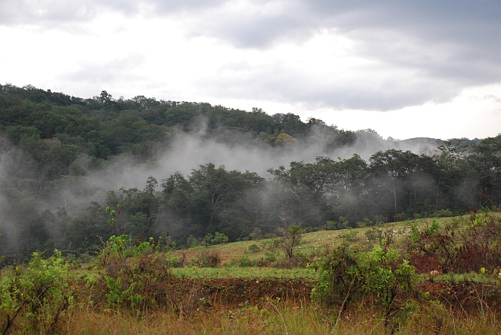 Nach dem Regen bei Lopé