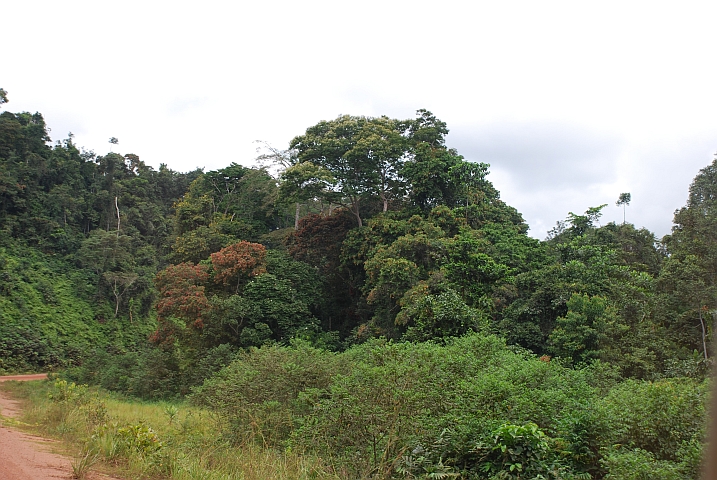 Zwischen Lopé und Lastoursville